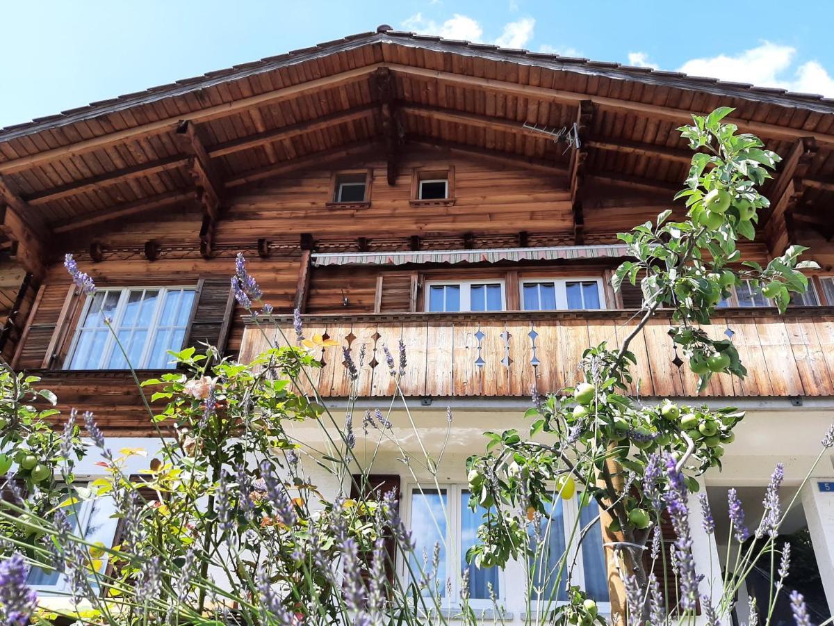 Cozy Chalet By Interlaken. Parking Ringgenberg Bagian luar foto
